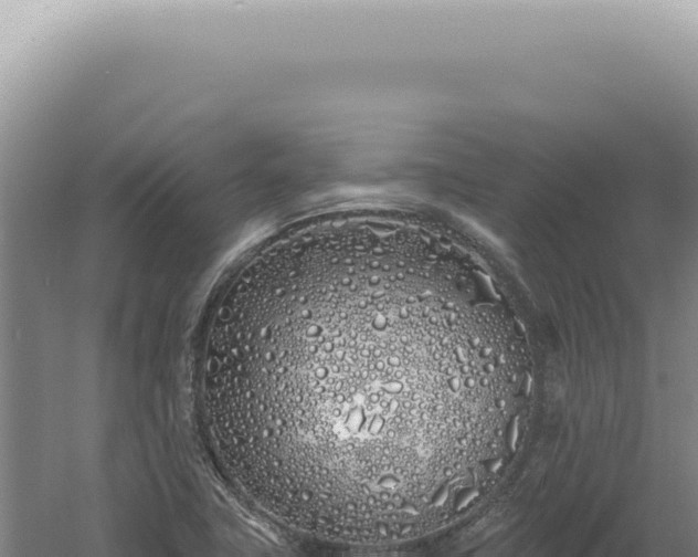 X0000060581411200511101644