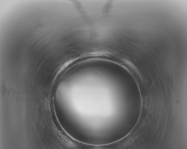 X0000060581412200511101644