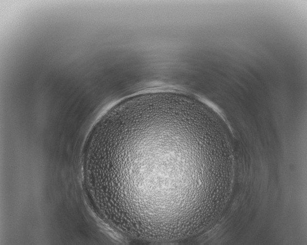 X0000060581415200511101644