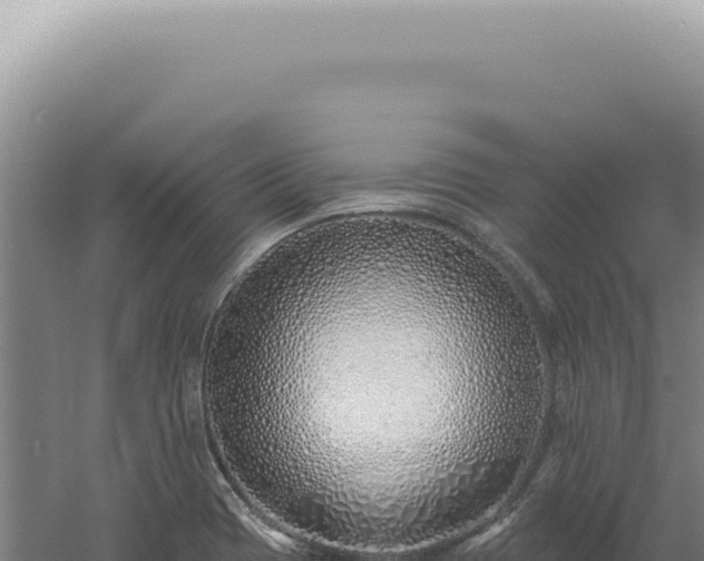 X0000060581417200511101644