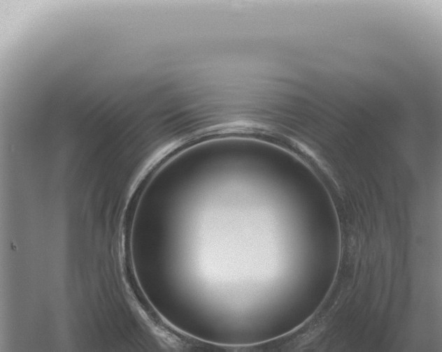 X0000060581418200511101644