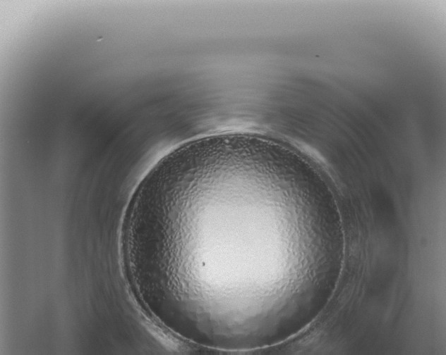 X0000060581423200511101644