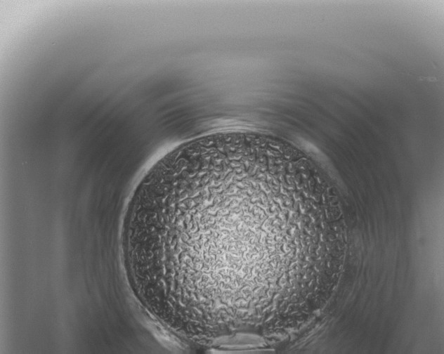 X0000060581427200511101644