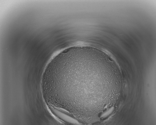 X0000060581429200511101644