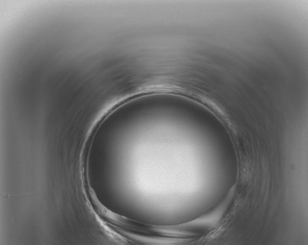 X0000060581430200511101644