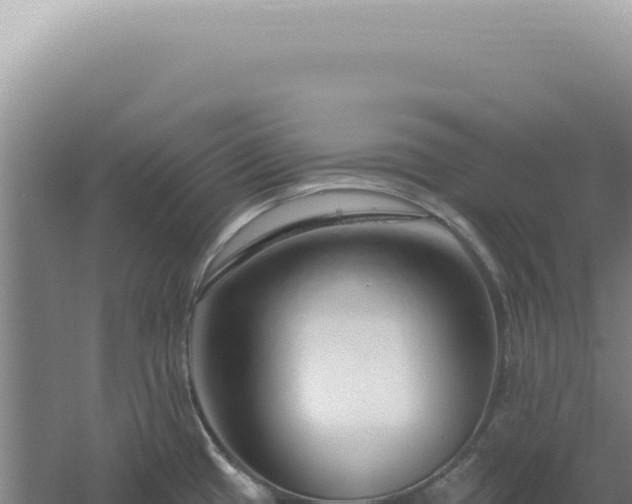 X0000060581433200511101644