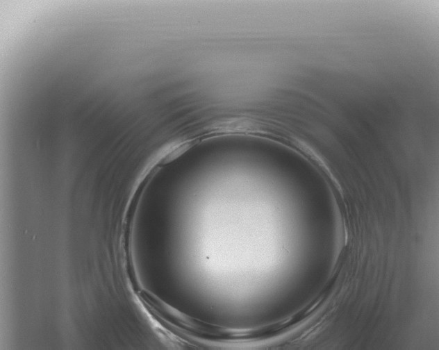 X0000060581434200511101644