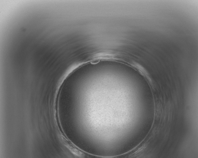 X0000060581435200511101644