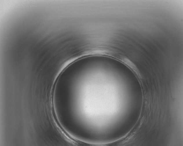 X0000060581436200511101644