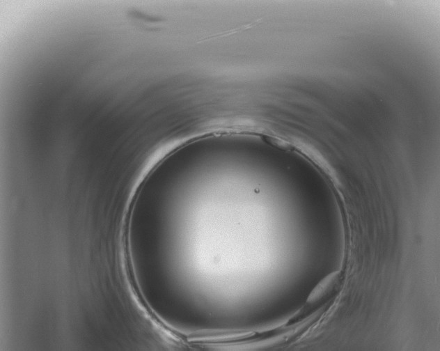 X0000060581440200511101644