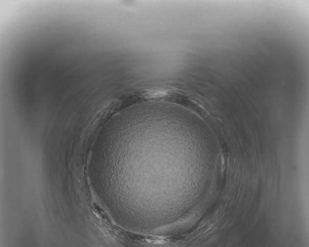 X0000060581441200511101643