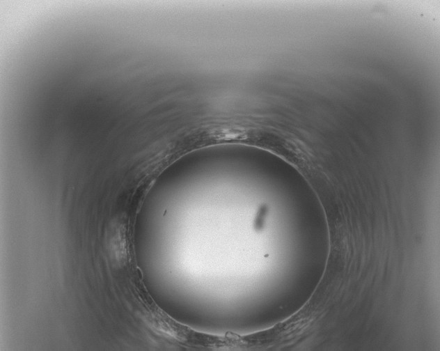 X0000060581442200511101643