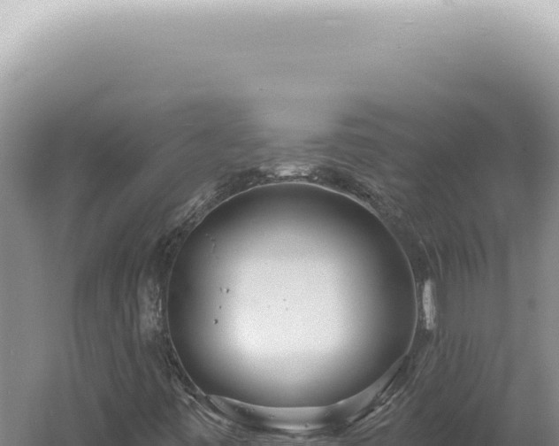 X0000060581443200511101643