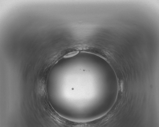 X0000060581444200511101643