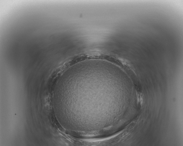 X0000060581445200511101643