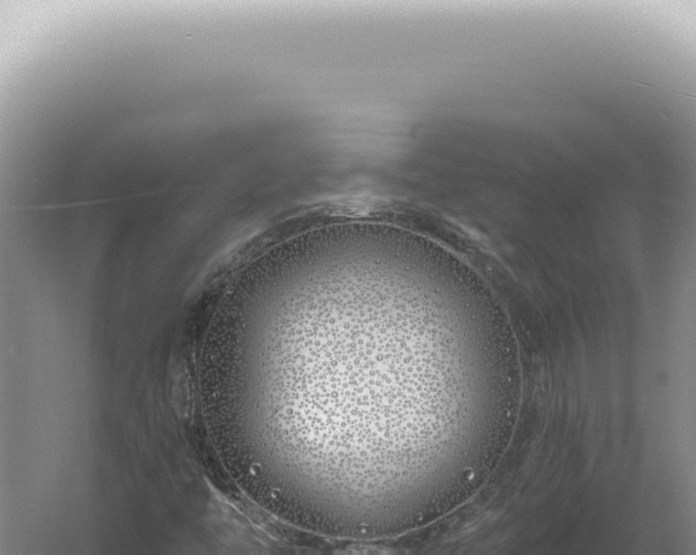 X0000060581446200511101643