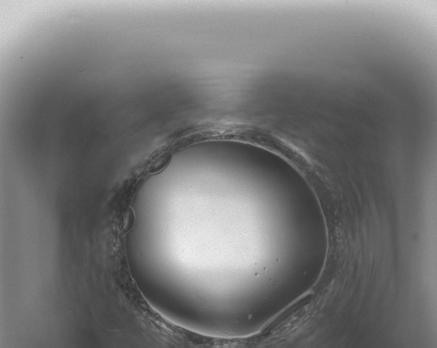 X0000060581447200511101643