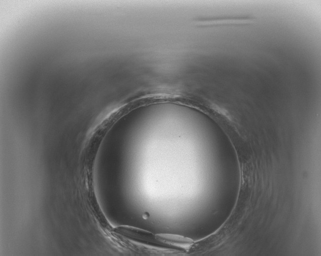 X0000060581448200511101643