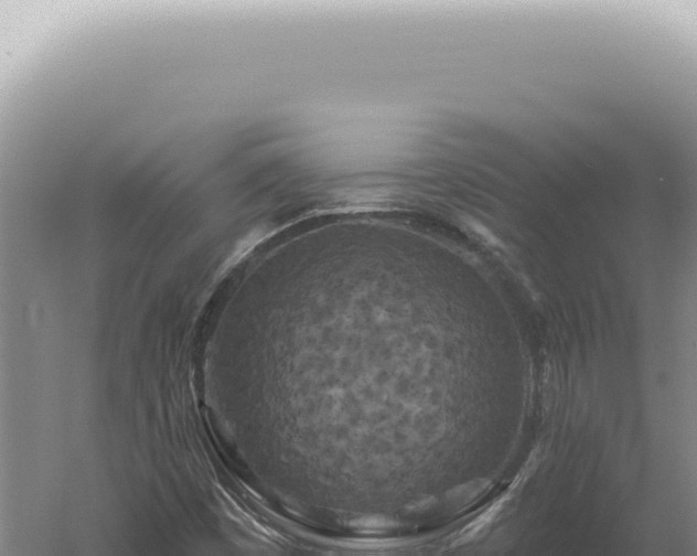 X0000060581449200511101643