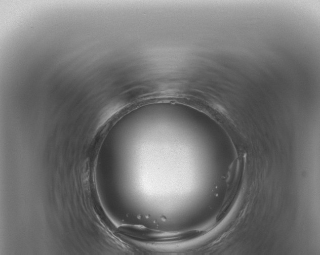 X0000060581450200511101643