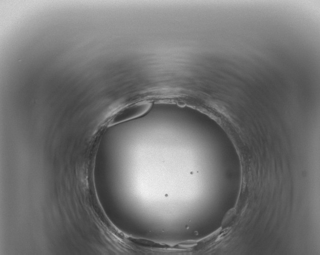 X0000060581451200511101643