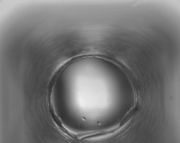 X0000060581452200511101643