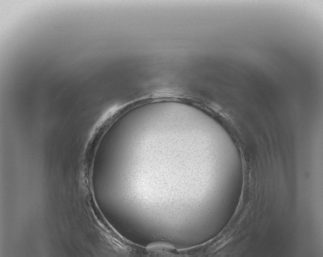 X0000060581454200511101643