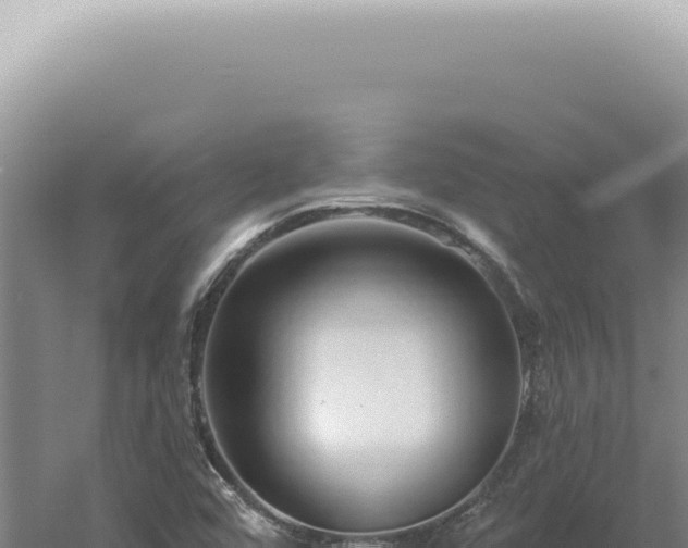 X0000060581456200511101643