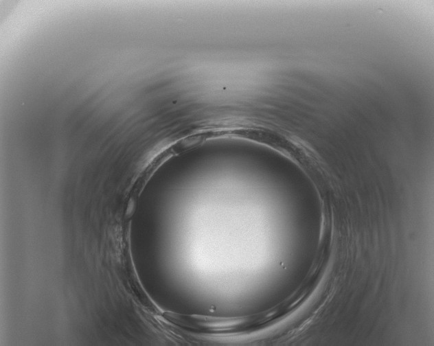 X0000060581457200511101643