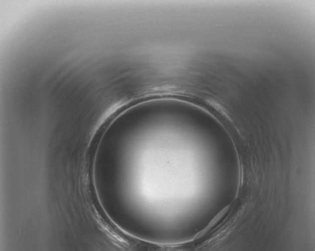 X0000060581458200511101643