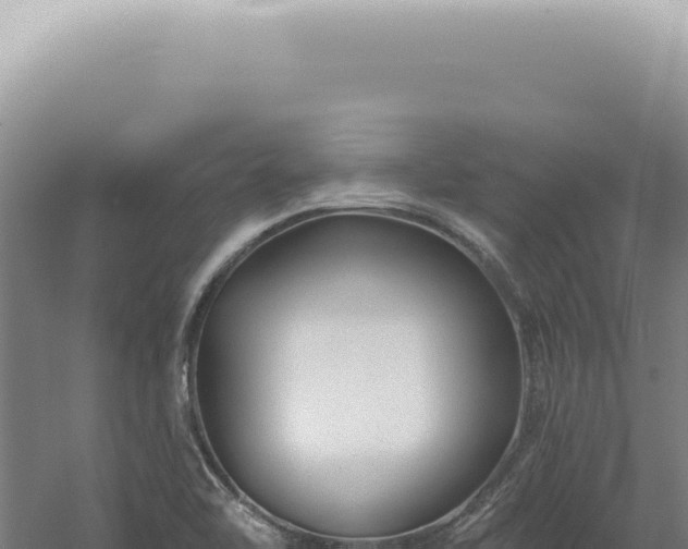 X0000060581462200511101643