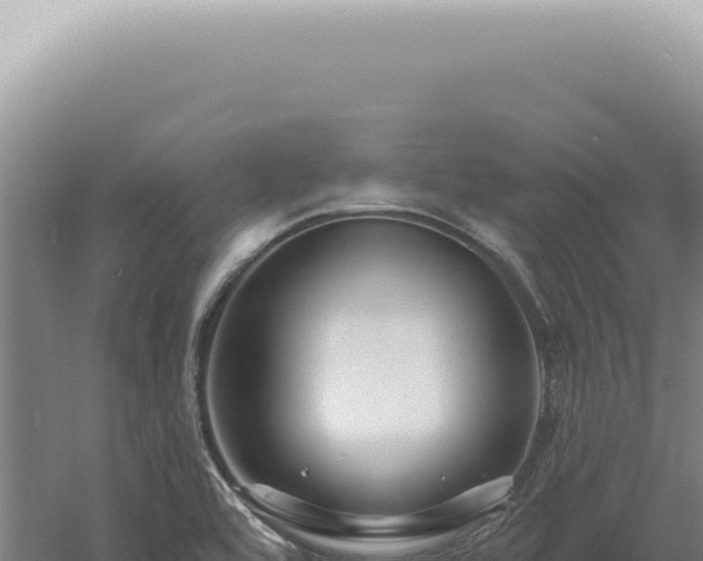 X0000060581464200511101643