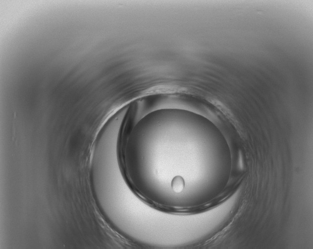 X0000060581465200511101643