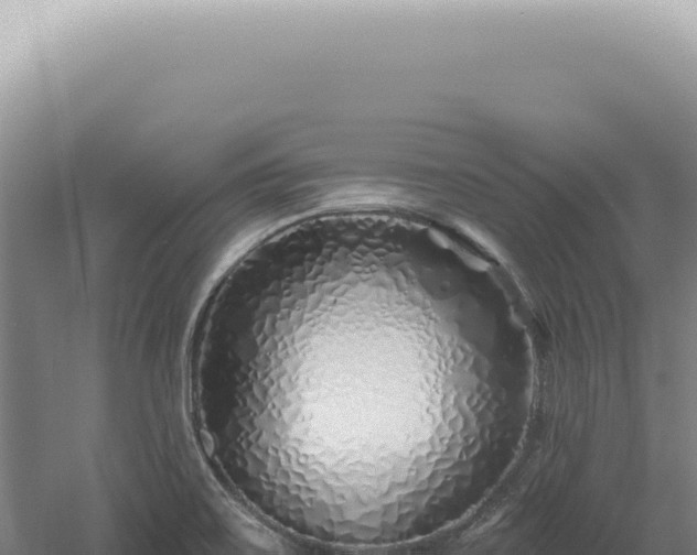 X0000060581467200511101643