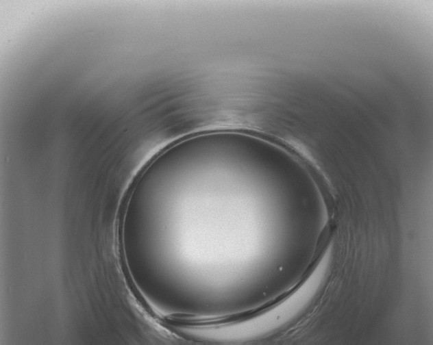 X0000060581468200511101643