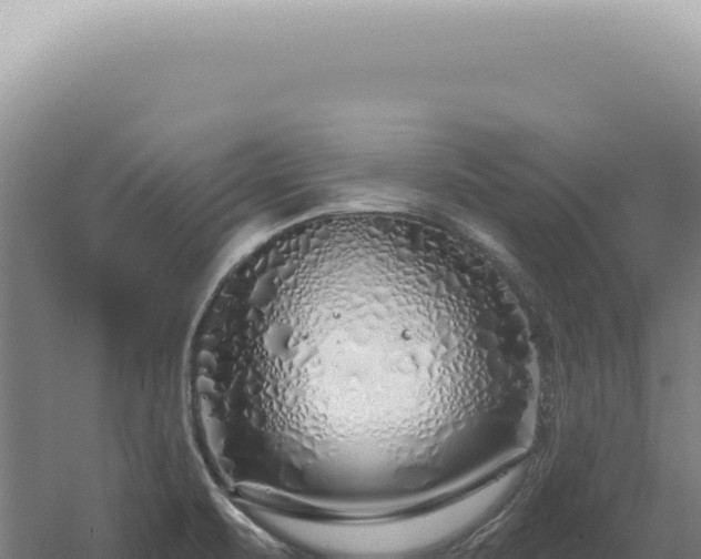 X0000060581471200511101643