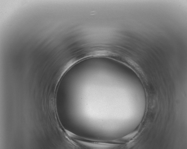 X0000060581473200511101643