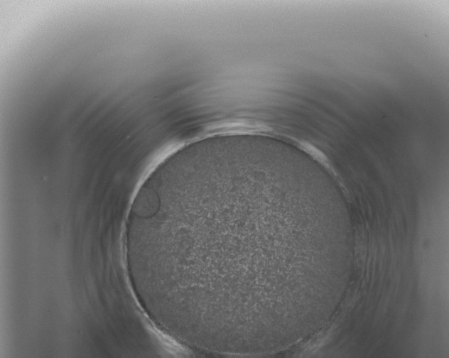 X0000060581474200511101643