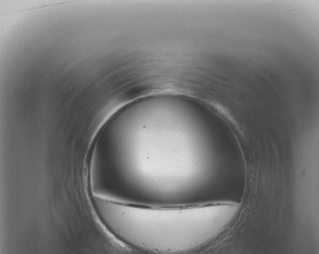 X0000060581476200511101643