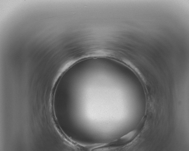 X0000060581477200511101643