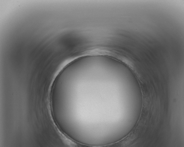 X0000060581478200511101643