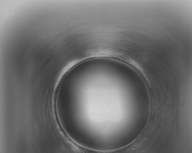 X0000060581480200511101643