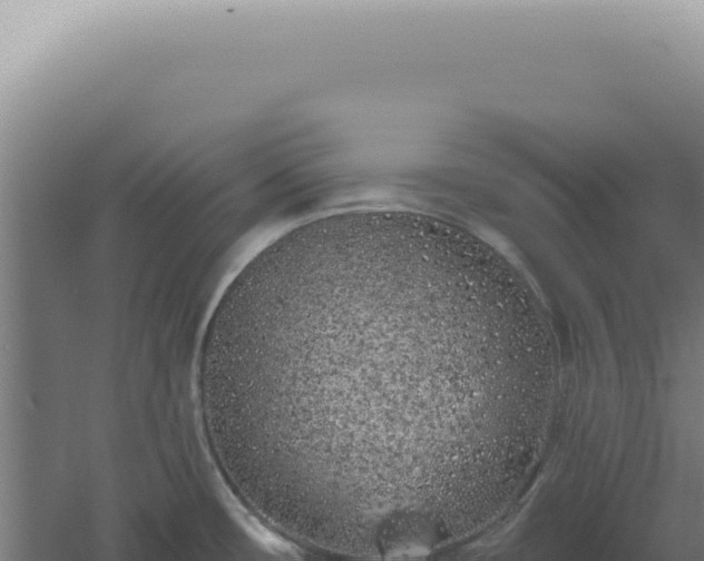 X0000060581482200511101643