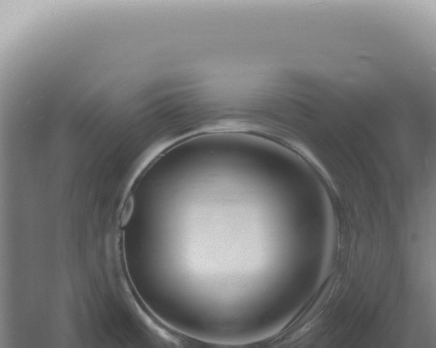 X0000060581484200511101643