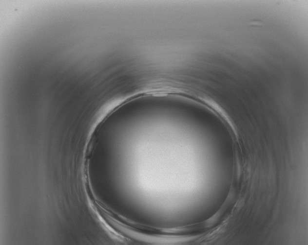 X0000060581485200511101643