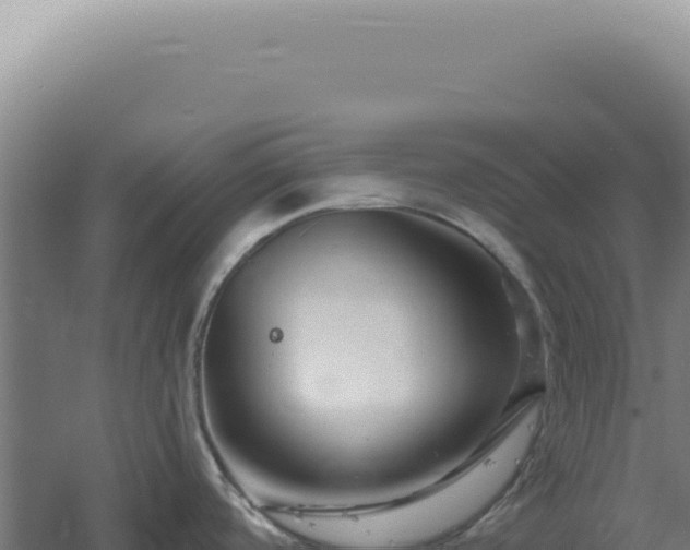 X0000060581488200511101643