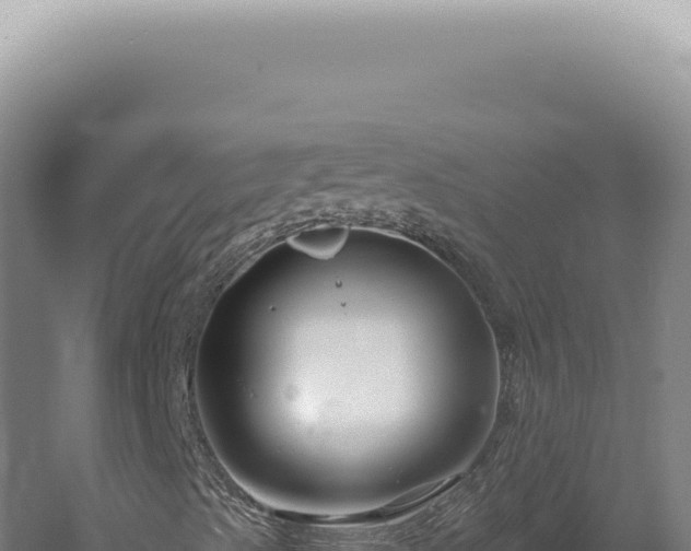 X0000060581489200511101642