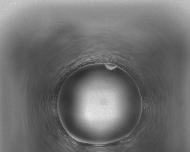 X0000060581490200511101642