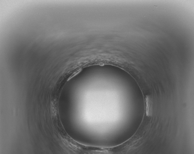 X0000060581491200511101642