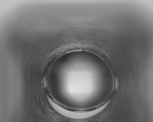 X0000060581492200511101642